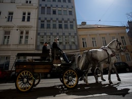 Vienna's Horse-Drawn Carriages Deliver Food To Elderly Amid Coronavirus Pandemic Vienna's Horse-Drawn Carriages Deliver Food To Elderly Amid Coronavirus Pandemic