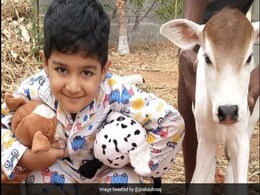 प्रकाश राज के फार्म हाउस पर नए मेहमान का आगाज, फोटो शेयर कर बोले- एक नई जिंदगी का स्वागत... प्रकाश राज के फार्म हाउस पर नए मेहमान का आगाज, फोटो शेयर कर बोले- एक नई जिंदगी का स्वागत...