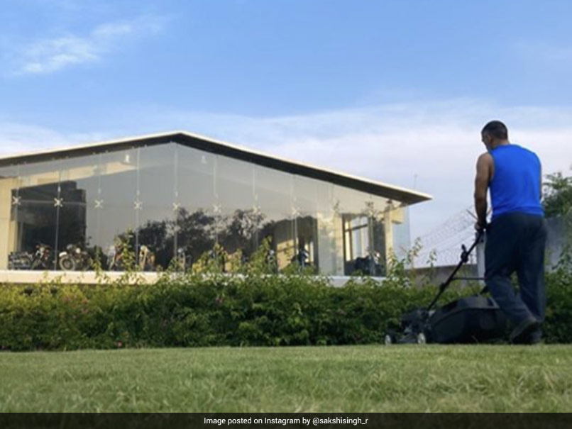 MS Dhoni Spends "Lawn Time" At Home Amidst Coronavirus Lockdown