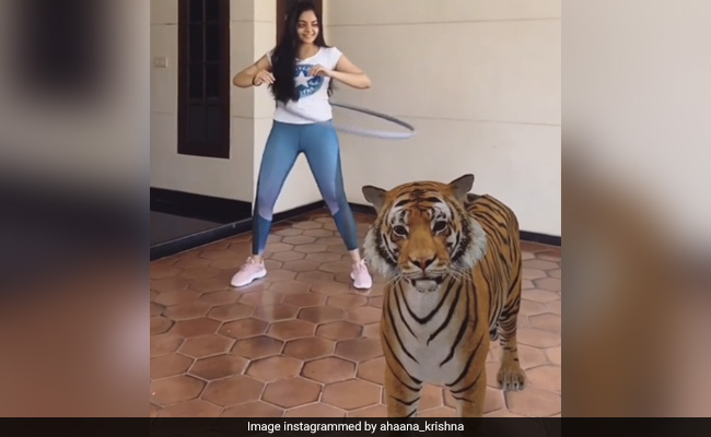 घर में खड़ा था बाघ फिर भी वर्कआउट करने से पीछे नहीं हटीं ये एक्ट्रेस- देखें जबरदस्त Video