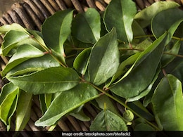 तेजी से वजन घटाने में काम आएगा करी पत्ता, यहां जानिए कैसे करना है इस्तेमाल