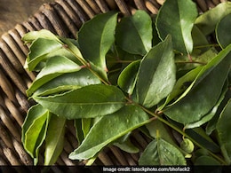 Health Benefits Of Curry Leaves: This Indian Herb May Help Manage Cholesterol Health Benefits Of Curry Leaves: This Indian Herb May Help Manage Cholesterol