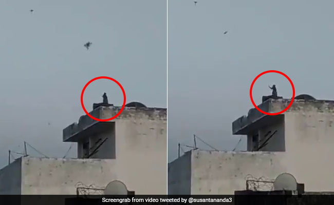 A Bird? A Plane? It's A Monkey Flying A Kite In This Viral Video