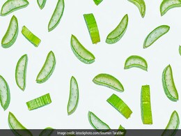 Home Remedies And Benefits Of Aloe Vera Gel For Your Hair Care Routine Home Remedies And Benefits Of Aloe Vera Gel For Your Hair Care Routine