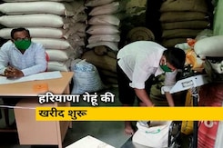 Lockdown update: हरियाणा में आज गेहूं की खरीद हो रही है शुरू, राज्य 1800 से ज्यादा खरीद केंद्र Lockdown update: हरियाणा में आज गेहूं की खरीद हो रही है शुरू, राज्य 1800 से ज्यादा खरीद केंद्र