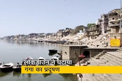 गंगा का डिजॉल्व ऑक्सीजन बढ़ा, घाटों के किनारे दिख रही हैं मछलियां गंगा का डिजॉल्व ऑक्सीजन बढ़ा, घाटों के किनारे दिख रही हैं मछलियां