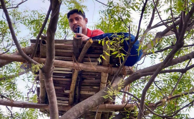 Professor Climbs Tree To Cross Internet Hurdle To Teach Students During Lockdown