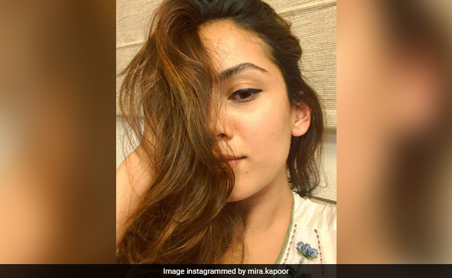 मीरा कपूर ने शेयर की आइब्रो हाइलाइट करते हुए अपनी खूबसूरत सेल्फी, लिखा... देखें Photo