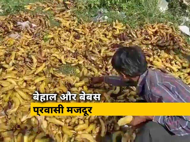लॉकडाउन: श्मशान के पास पड़े सड़े केले खाने को मजबूर प्रवासी मजदूर