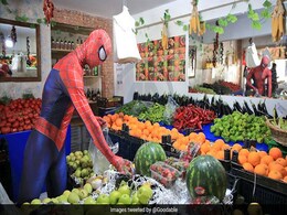 लॉकडाउन में सब्जी मंडी में दिखा 'Spider-Man', घर-घर जाकर ऐसे कर रहा है लोगों की मदद... देखें Photos लॉकडाउन में सब्जी मंडी में दिखा 'Spider-Man', घर-घर जाकर ऐसे कर रहा है लोगों की मदद... देखें Photos
