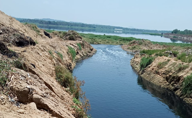 Bengaluru Water Bodies Look Cleaner, 3 Weeks Into Coronavirus Lockdown