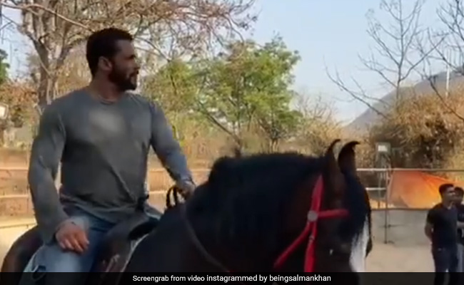 Another Day At Salman Khan's Farmhouse. The Actor Is Busy "Being Taken For A Ride"