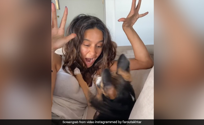 What Happened When Shibani Dandekar Tried To Scare Farhan Akhtar's Pet Dog Tyson
