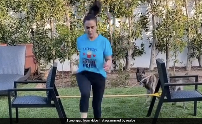 प्रीति जिंटा ने लगाई जंप, तो मुंह में डंडा लिए पीछे-पीछे भाग उनका डॉगी- देखें Video