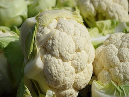 Cauliflower Or Cabbage: फूलगोभी और पत्तागोभी में से आप किसे मानते हैं ज्यादा हेल्दी? यहां जानें दोनों में अंतर और स्वास्थ्य लाभ Cauliflower Or Cabbage: फूलगोभी और पत्तागोभी में से आप किसे मानते हैं ज्यादा हेल्दी? यहां जानें दोनों में अंतर और स्वास्थ्य लाभ
