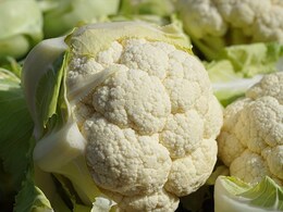 Cauliflower side effects : सर्दी के मौसम में फूल गोभी खाने के होते हैं इतने नुकसान Cauliflower side effects : सर्दी के मौसम में फूल गोभी खाने के होते हैं इतने नुकसान