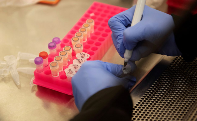 Brakes On New COVID-19 Study After Rapid Testing Comes To Abrupt Halt