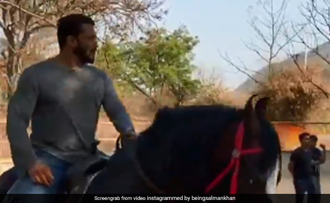 सलमान खान ने लॉकडाउन में की घोड़े की सवारी, इंटरनेट पर वायरल हो रहा है Video