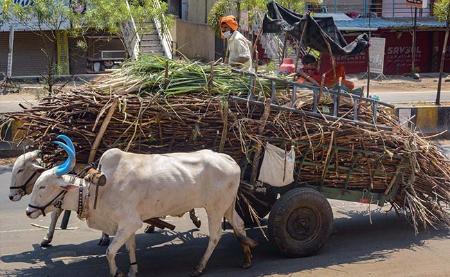 Opinion: To Help Farmers, Government Must Digest Its Own Orders