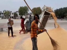 अच्छी स्थिति में गेहूं की फसल, सरकार की खरीद सामान्य रहेगी: FCI के प्रबंध निदेशक अच्छी स्थिति में गेहूं की फसल, सरकार की खरीद सामान्य रहेगी: FCI के प्रबंध निदेशक