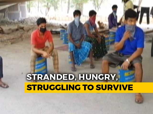 Living Under A Bridge In Mumbai, 10 Workers In 1 Shed