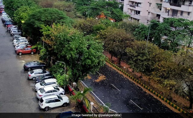 Rainfall, Gusty Winds Brings Down Temperature In Delhi