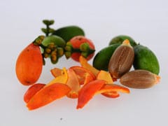 Weight Loss: How Melinjo Fruit May Help Manage Obesity And Diabetes (Study) Weight Loss: How Melinjo Fruit May Help Manage Obesity And Diabetes (Study)