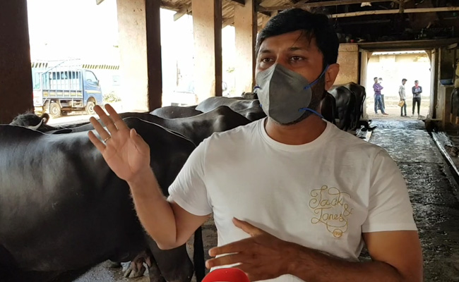 Fodder For Mumbai's Aarey Colony's Cattle To Last 8 Days Amid Lockdown