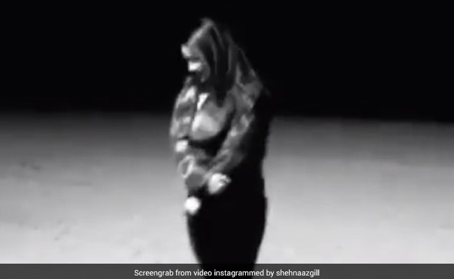 शख्स ने शहनाज गिल को पुकारा, तो बोलीं- पहले कैटरीना कैफ बोलो तब सुनूंगी...देखें Video