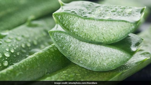 Applying Aloe vera can help reduce symptoms of atopic dermatitis