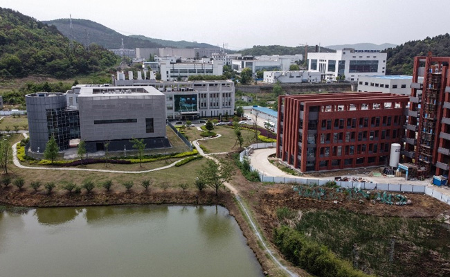 Wuhan Lab Had 3 Live Bat Coronaviruses, None Matched COVID-19: Report