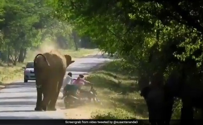 Elephant Charges At Bike, Forces Riders To Run In Hair-Raising Footage