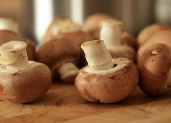 How To Clean Mushrooms - 5 Easy Tips To Follow How To Clean Mushrooms - 5 Easy Tips To Follow
