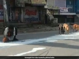 सड़क पर गिरा दूध मटके में भरता नजर आया यह शख्स, Video पोस्ट कर एक्ट्रेस बोलीं- नहीं देख सकती... सड़क पर गिरा दूध मटके में भरता नजर आया यह शख्स, Video पोस्ट कर एक्ट्रेस बोलीं- नहीं देख सकती...