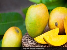 Mango Man! This 84-Year Old Has Preserved Over 150 Rare Mangoes Mango Man! This 84-Year Old Has Preserved Over 150 Rare Mangoes