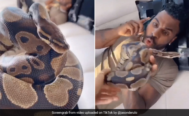 फोन पर बात कर रहे बॉयफ्रेंड के हाथ में गर्लफ्रेंड ने रख दिया सांप और फिर हुआ ऐसा... देखें Viral Video