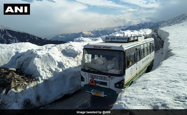 Passenger Buses To Restart Operation From June 1 In Himachal Pradesh: Official