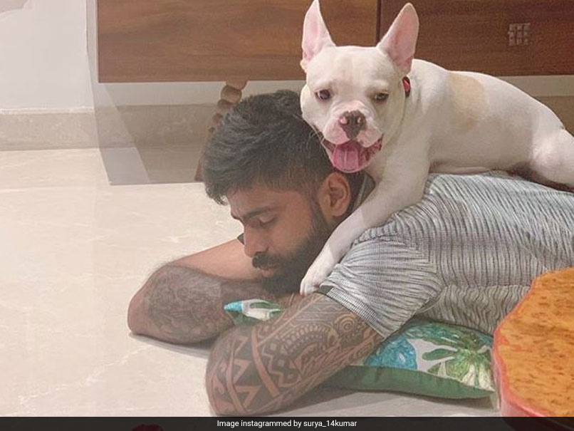 Mumbai Indians Star Asks For Help On Twitter, Says His "Puppy Needs Urgent Medical Attention"