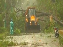 Cyclone Amphan Leaves Collapsed Trees And Houses In Parts Of Odisha Cyclone Amphan Leaves Collapsed Trees And Houses In Parts Of Odisha