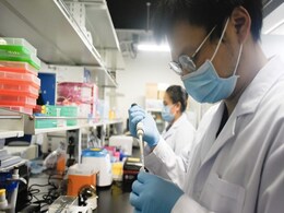 From Mini Brains To Fusion Energy: The Biggest Scientific Breakthroughs Of 2022 From Mini Brains To Fusion Energy: The Biggest Scientific Breakthroughs Of 2022