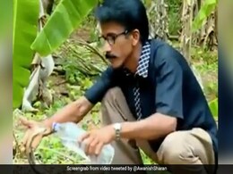 जंगल में प्यासा था कोबरा, शख्स लाया बोतल तो यूं गट-गटकर पी गया पानी, IAS ने शेयर किया पुराना Video जंगल में प्यासा था कोबरा, शख्स लाया बोतल तो यूं गट-गटकर पी गया पानी, IAS ने शेयर किया पुराना Video