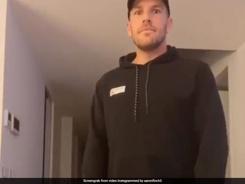 "Might Stick To Cricket": Aaron Finch After Shooting Hilarious Tik Tok Video