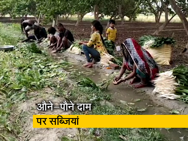 लॉकडाउन के चलते सब्ज़ी किसानों पर पड़ी मार