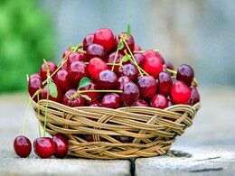 Benefits Of Cherry: From Aiding Weight Loss To Boosting Memory Benefits Of Cherry: From Aiding Weight Loss To Boosting Memory