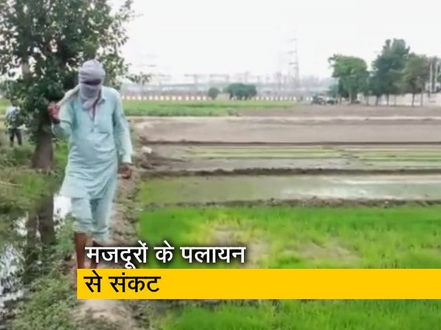 पंजाब : कोरोना से मजदूरों का पलायन और गांव में सामाजिक दरार