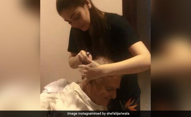 'कांटा लगा' गर्ल लॉकडाउन में बनीं अपने पापा की हेयर स्टाइलिस्ट, यूं बाल काटती आईं नजर... देखें Video