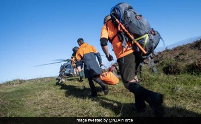 2 New Zealand Hikers Rescued After 19 Days, Drank Puddle Water To Survive