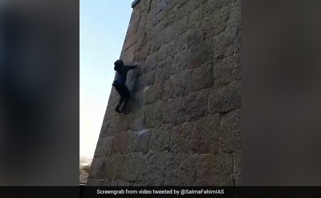 Karnataka's Famous "Monkey Man" Climbs Fort Without Harness. Watch