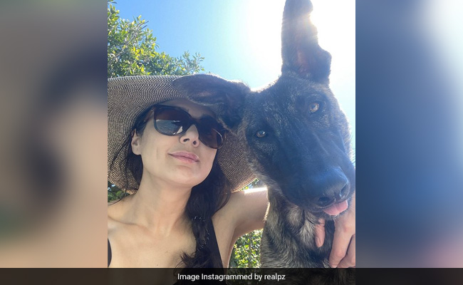 This Summer, Preity Zinta Is Enjoying "Pool Days" With Pet Dog Bruno. See Pic