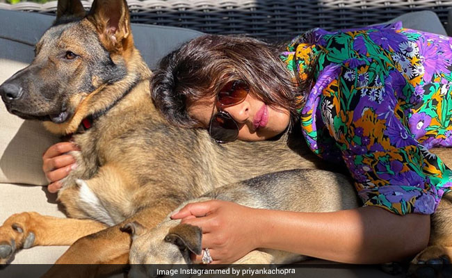 Like Priyanka Chopra, Brighten Up Summer Days With Colourful Prints